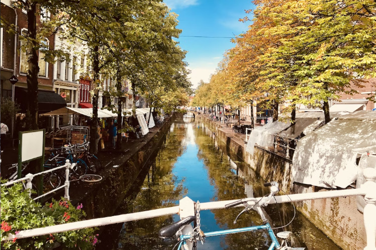 Delft in Autumn