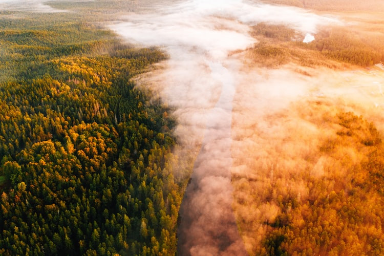 Gauja National Park Latvia