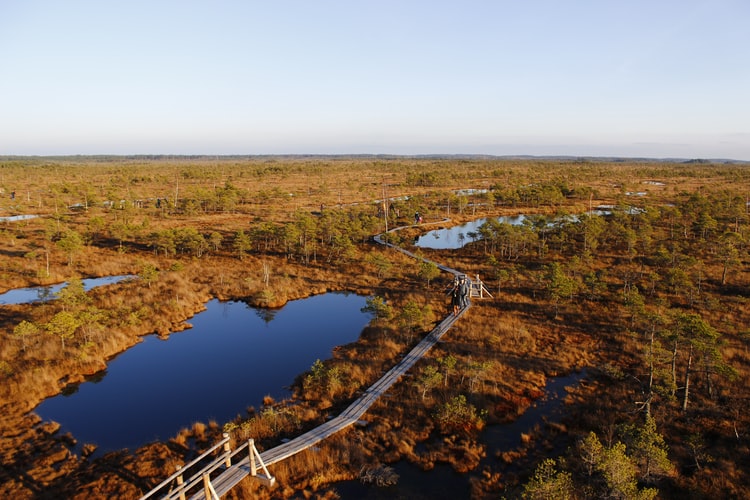 Kemeri National Park