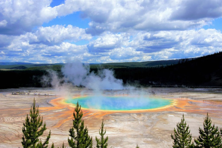 Grand Prismatic Spring Yellowstone