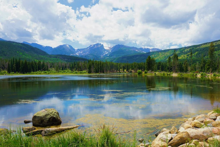 biodiversity in rocky mountain np