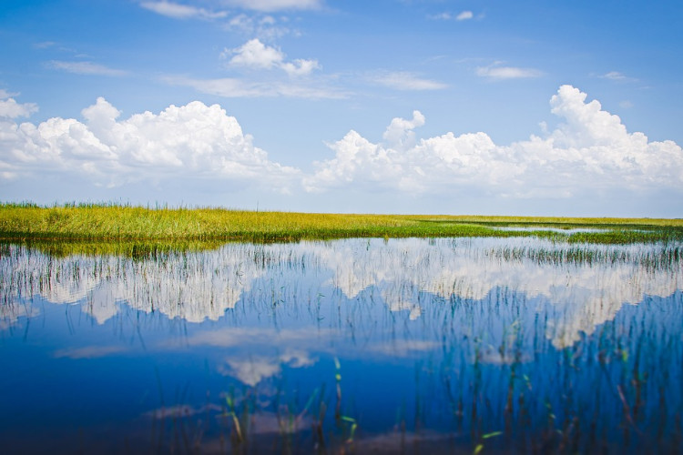 everglades national park