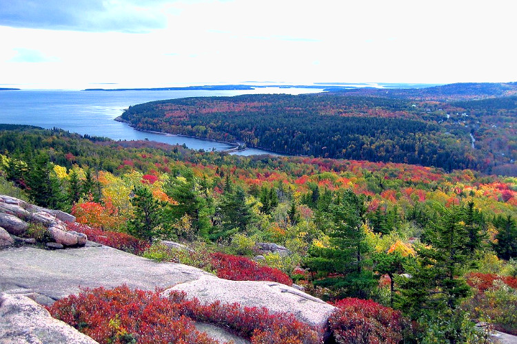 fall foliage acadia