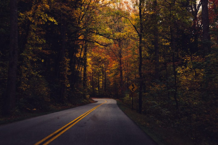 fall foliage in great smoky mountains