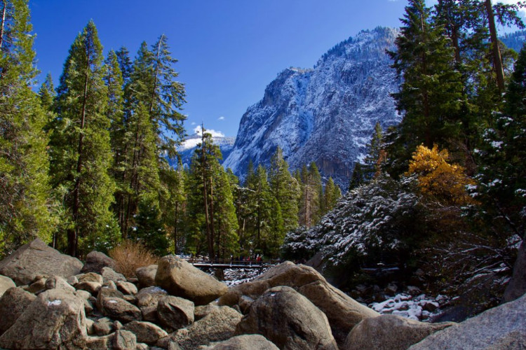 fall in yosemite