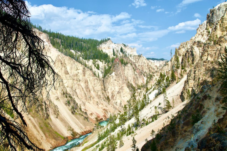 grand canyon of yellowstone national park