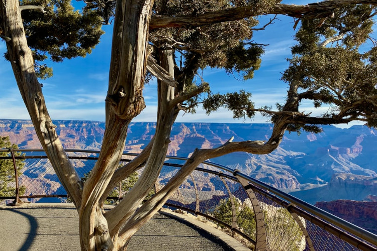 grand canyon south rim