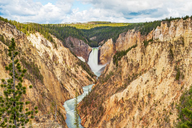 great yellowstone falls