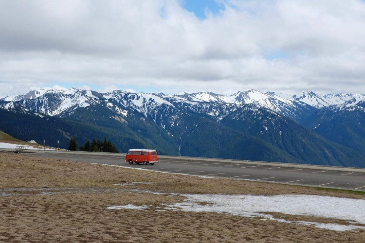 hurricane ridge olympic np