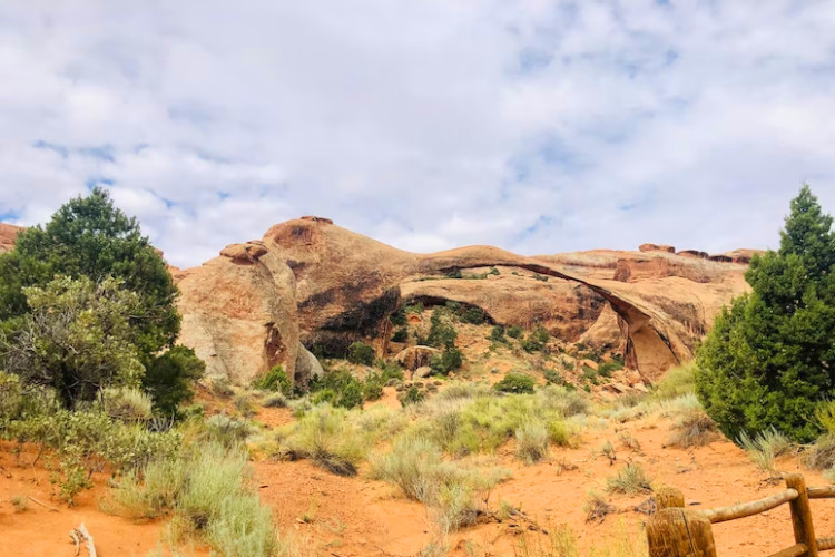 lanscape arch arches np