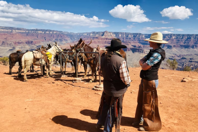 mule ride trail grand canyon