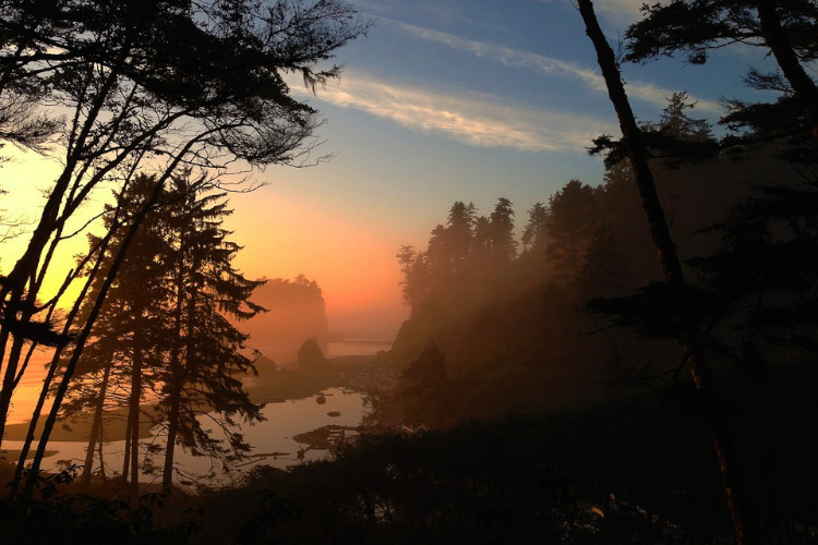 ruby beach olympic np