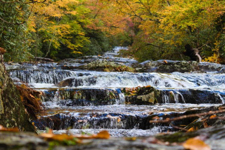 snowbird creek great smoky mountains national park